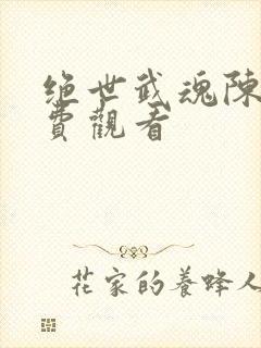 绝世武魂陈枫免费观看