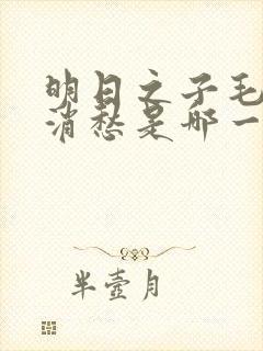 明日之子毛不易消愁是哪一期