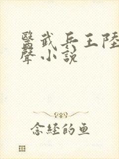 医武兵王陆轩有声小说