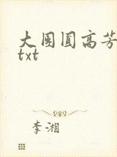 大团圆高芳小说txt