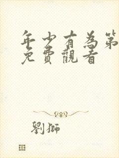 年少有为第6季免费观看封面