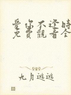 爱你不逢时短剧免费观看全集高清封面