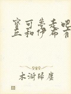 宝可梦走吧皮卡丘和伊布有什么区别