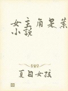 女主角是叶婉的小说