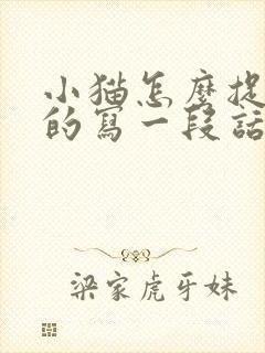小猫怎么捉老鼠的写一段话封面
