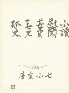 孤王甚慰小说全文免费阅读封面