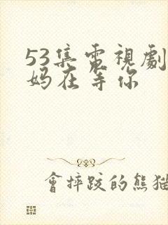 53集电视剧妈妈在等你