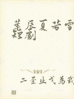 叶辰夏若雪孙怡短剧