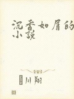 沉香如屑的原著小说封面