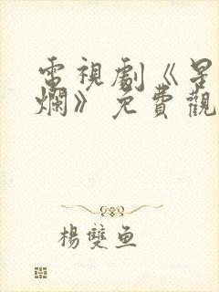 电视剧《星汉灿烂》免费观看