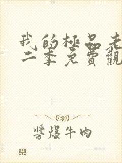 我的极品老婆第二季免费观看电视剧封面