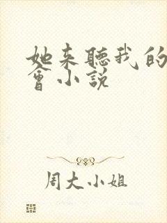 她来听我的演唱会小说