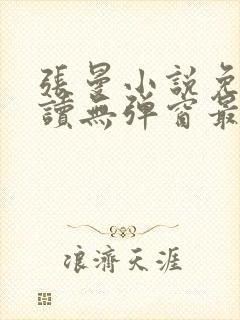 张曼小说免费阅读无弹窗最新章节