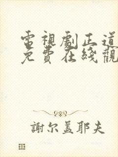 电视剧正道无敌免费在线观看封面