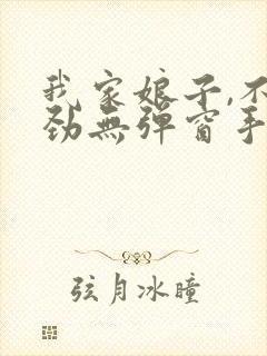 我家娘子,不对劲无弹窗手机版