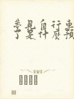 梦见自行车被偷了是什么预兆