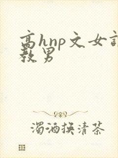 高hnp文女调教男