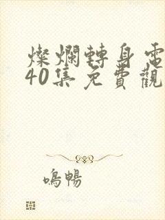 灿烂转身电视剧40集免费观看高清