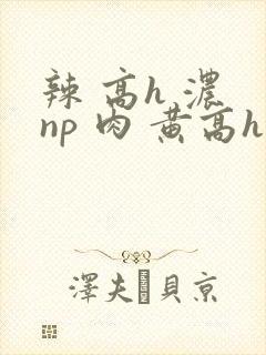 辣 高h 浓 np 肉 黄高h