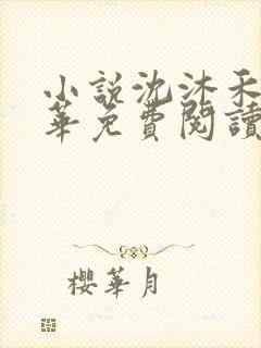 小说沈沐禾林霜华免费阅读