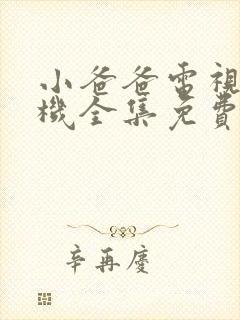 小爸爸电视剧手机全集免费观看