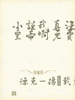 小说我真没想当皇帝啊免费