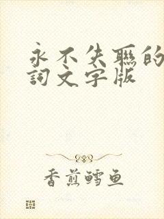 永不失联的爱歌词文字版