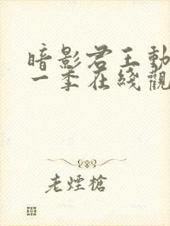 暗影君王动漫第一季在线观看