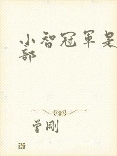 小智冠军是哪一部