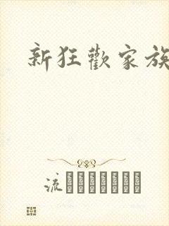 新狂欢家族小说