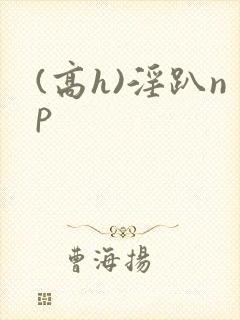 (高h)淫趴np