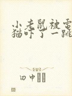 小老鼠被电脑的猫吓了一跳看图写话