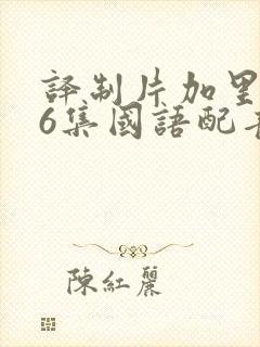 译制片加里森26集国语配音免费观看