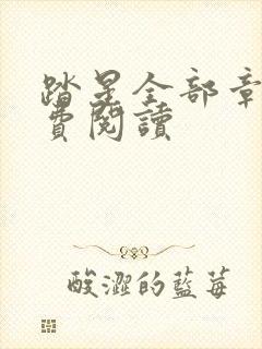 踏星全部章节免费阅读