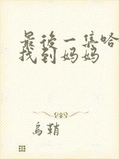 最后一集哈米德找到妈妈