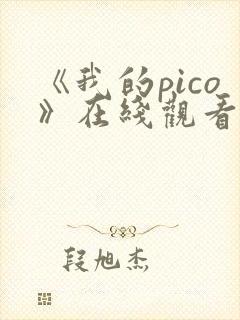 《我的pico》在线观看免费完整版封面