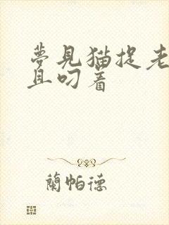 梦见猫捉老鼠并且叼着