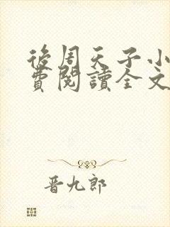 后周天子小说免费阅读全文最新章节封面