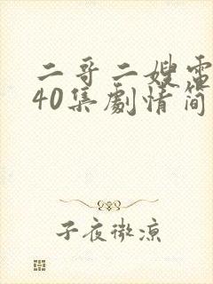 二哥二嫂电视剧40集剧情简介