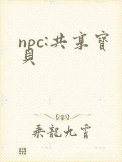 npc:共享宝贝封面