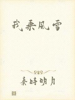 我乘风雪