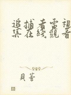 追捕者电视剧全集在线观看免费高清