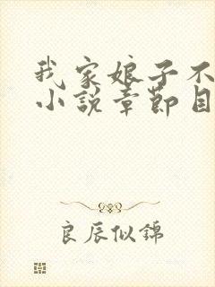 我家娘子不对劲小说章节目录