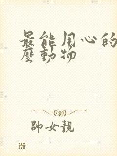 最能用心的是什么动物