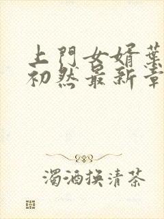 上门女婿叶辰萧初然最新章节免费阅读