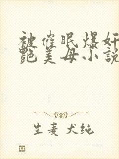 被催眠爆奸的冷艳美母小说