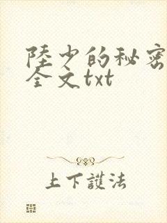 陆少的秘密恋人全文txt