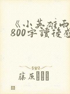 《小英雄雨来》800字读后感