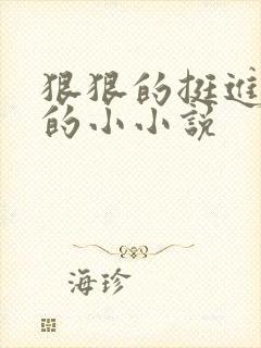 狠狠的挺进魅魔的小小说