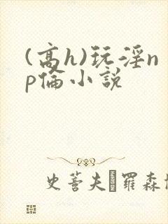 (高h)玩淫np伦小说